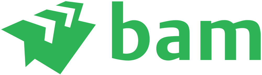 BAM Logo