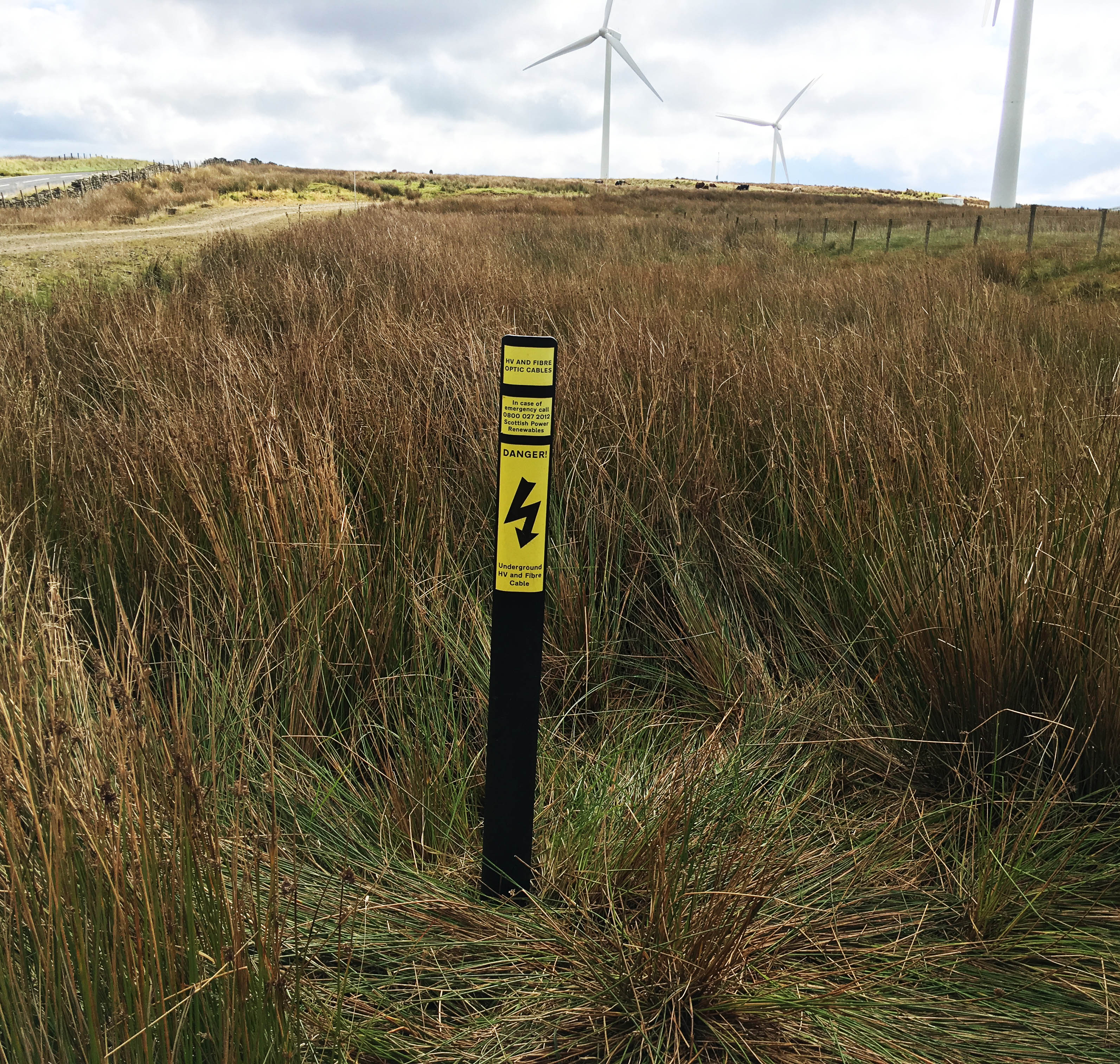 Four Years After Installation And the Blakedale information posts are Still Standing
