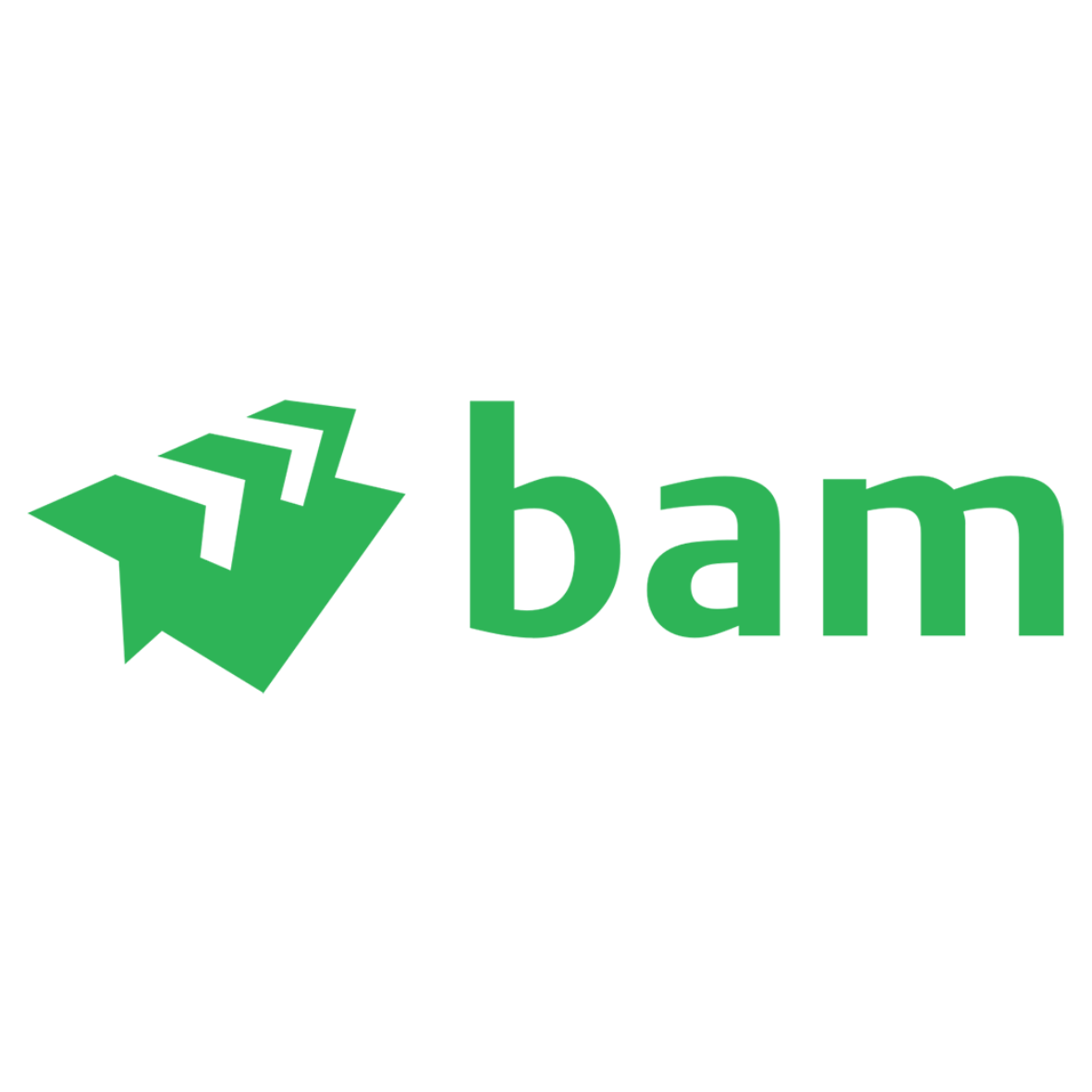 BAM Logo